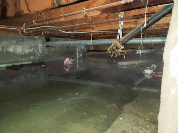 Best Flood restoration services  in Kewaunee, WI