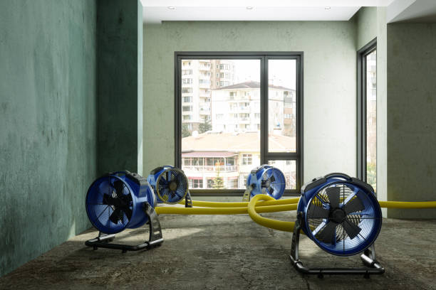 Best Water damage contractors near me  in Kewaunee, WI
