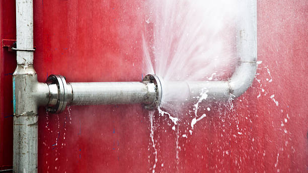 Best Water damage contractors near me  in Kewaunee, WI